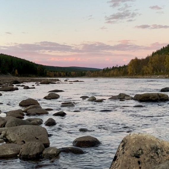 Kuljetukset